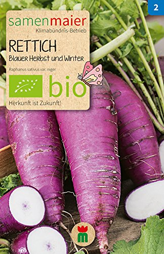 Samen Maier 890 Rettich Blauer Herbst und Winter (Bio-Rettichsamen) von Samen Maier