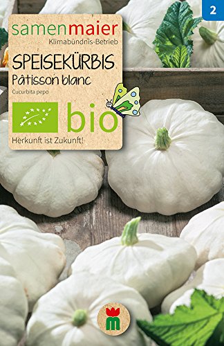 Samen Maier 899 Speisekürbis Patisson blanc (Bio-Kürbissamen) von Samen Maier