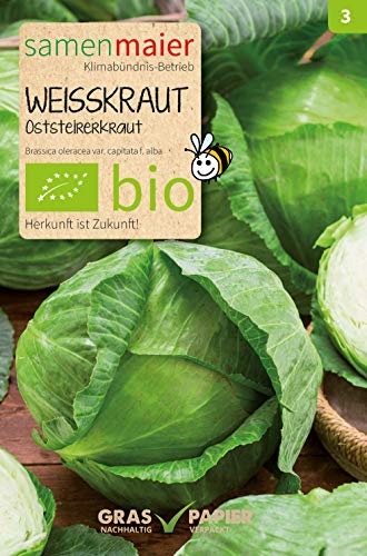 Samen Maier 935 Weißkraut Oststeirerkraut (Bio-Weißkrautsamen) von Samen Maier