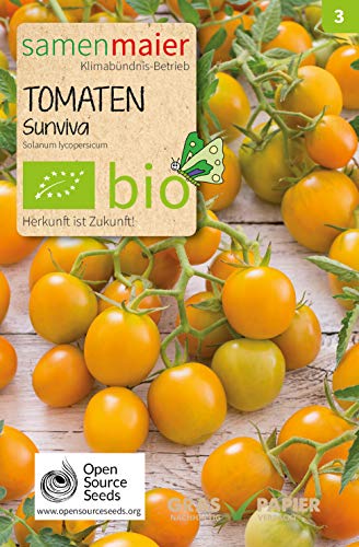 Samen Maier 941 Tomate Sunviva (Bio-Tomatensamen) von Samen Maier