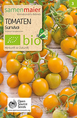 Samen Maier 941 Tomate Sunviva (Bio-Tomatensamen) von Samen Maier