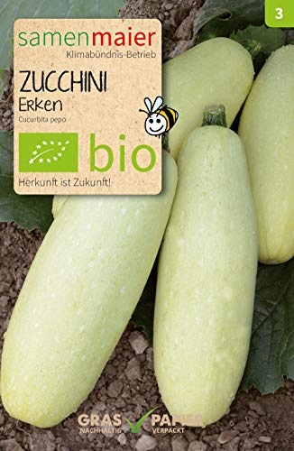 Samen Maier 942 Zucchini Erken (Bio-Zucchinisamen) von Samen Maier