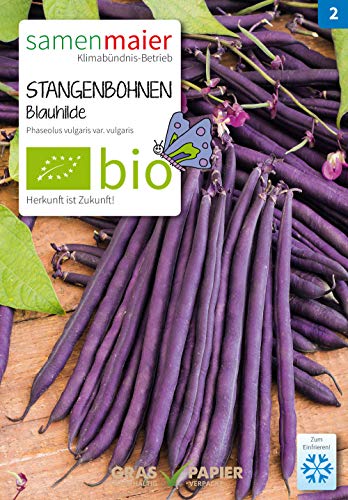 Samen Maier E00933 Blauhilde fadenlose Stangenbohne (Bio-Hülsenfrüchte) von Samen Maier