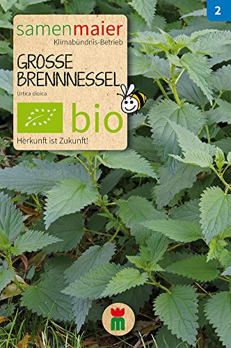 Samen Maier 920 Große Brennnessel (Bio-Berennnesselsamen) von Samen Maier