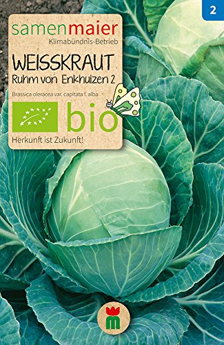 Weißkraut Ruhm von Enkhuizen 2 | Bio-Weißkrautsamen von Samen Maier