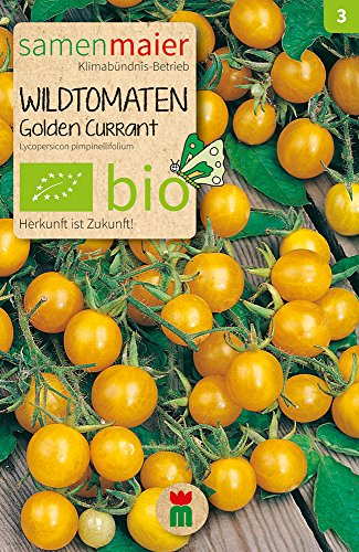 Samen Maier 817 Wildtomate Golden Currant (Bio-Tomatensamen) von Samen Maier