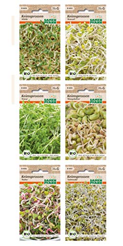 Bio Keimsprossen verschiedene Sorten Alfalfa Radies Broccoli Kresse Mungbohnen Radies (Alfalfa) von Samen Pfann