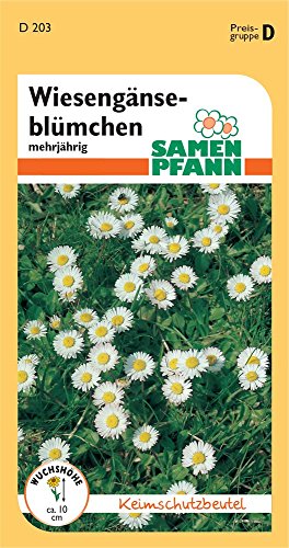 Samen Pfann D203 Wiesengänseblümchen (Wiesengänseblümchensamen) von Samen Pfann
