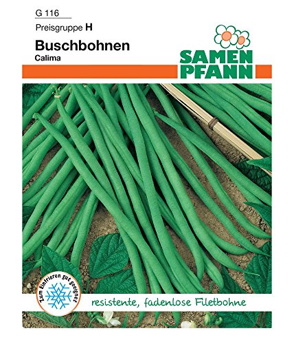 Samen Pfann G116 Buschbohne Calima (Buschbohnensamen) von Samen Pfann