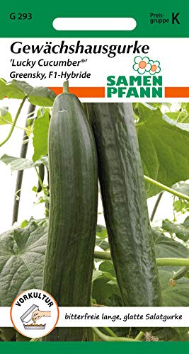 Samen Pfann G293 Gewächshausgurke Lucky Cucumber Greensky F1-Hybride (Gurkensamen) von Samen Pfann