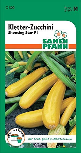 Samen Pfann G500 Kletterzucchini Shooting Star (Kletterzucchinisamen) von Samen Pfann