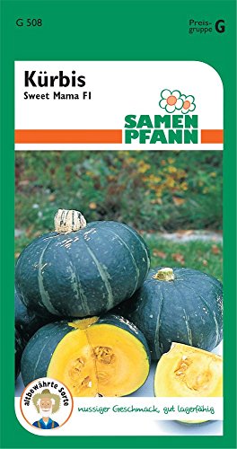 Samen Pfann G508 Kürbis Sweet Mama (Kürbissamen) von Samen Pfann