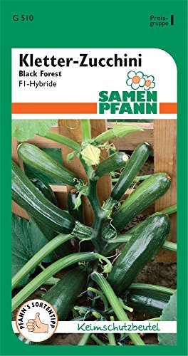 Samen Pfann G510 Kletterzucchini Black Forest (Kletterzucchinisamen) von Samen Pfann