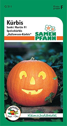 Samen Pfann G511 Halloween-Kürbis Sankt Martin (Halloween-Kürbissamen) von Samen Pfann