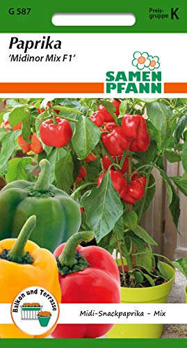 Samen Pfann G587 Paprika Midinor Mix F1 (Paprikasamen) von Samen Pfann