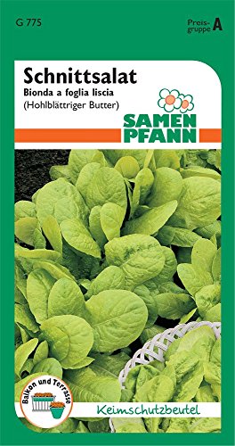 Samen Pfann G775 Pflücksalat Bionda a foglia liscia (Pflücksalatsamen) von Samen Pfann
