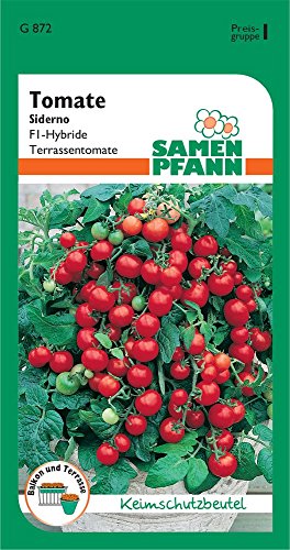 Samen Pfann G872 Terrassentomate Siderno F1 (Terrassentomatensamen) von Samen Pfann