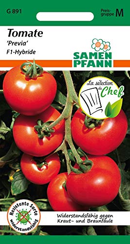 Samen Pfann G891 Tomate Previa F1-Hybride (Tomatensamen) von Samen Pfann