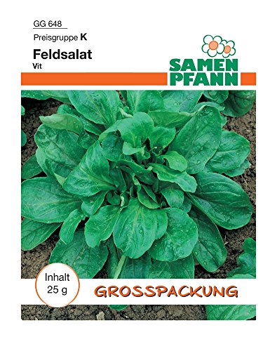 Samen Pfann GG648 Feldsalat Vit 25 g (Feldsalatsamen) von Samen Pfann