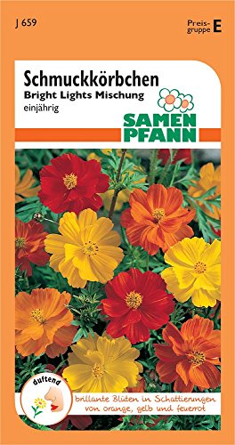 Samen Pfann J659 Cosmea Bright Lights Mix (Cosmeasamen) von Samen Pfann