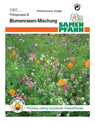 Samen Pfann Y917 Blumenrasenmischung (Blumenrasensamen) von Samen Pfann