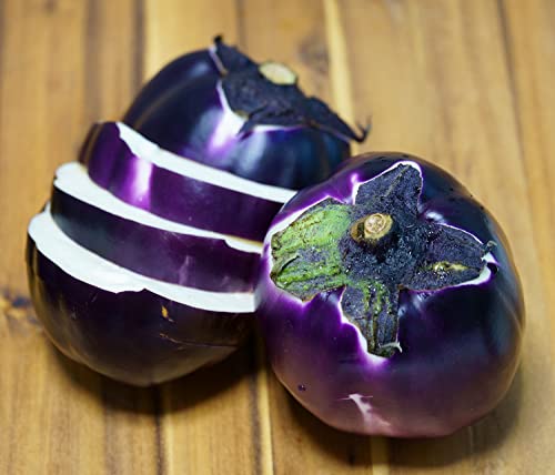 Aubergine Violetta di Firenze - Eierfrucht - 50 Samen von Samen Schenker