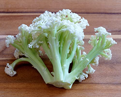 Blumenkohl Fioretto®F1 - Stängelblumenkohl - Kohl - Broccoli - Brokkoli - 10 Samen von Samen Schenker