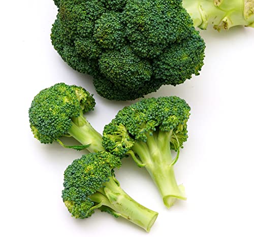 Brokkoli Calabrese natalino - Broccoli - ertragreich - 250 Samen von Samen Schenker