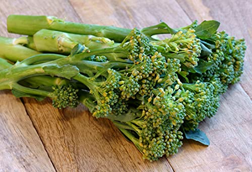 Italienischer Spargelbrokkoli/Stängelkohl/Broccoli Raab/Brocoletti/Cima di Rapa Sessantina - 500 Samen von Samen Schenker