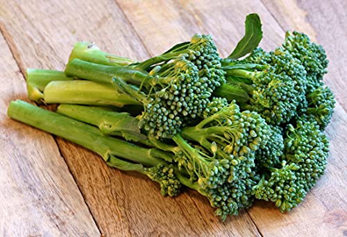 Italienischer Spargelbrokkoli/Stängelkohl/Broccoli Raab/Brocoletti/Cima di Rapa- Riccia S. Marzano - 500 Samen von Samen Schenker