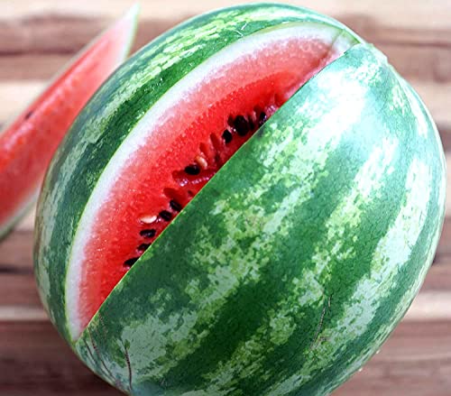 Wassermelone Crimson Sweet - Gewicht: 8-12kg - Melone - Die klassische, extra-saftige - 30 Samen von Samen Schenker