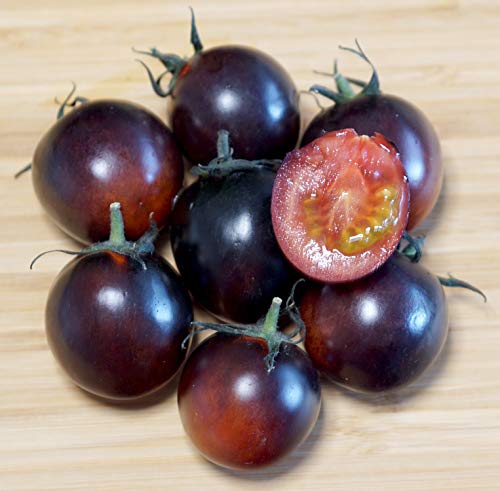 Purpur-Dunkelrote Cherry-Tomate - Zweifarbige Tomate - sehr süß - 10 Samen von Samen Schenker