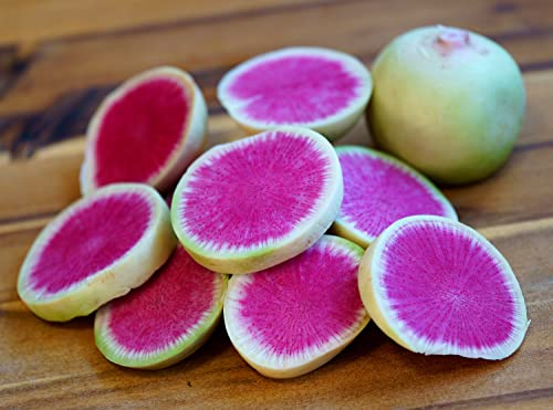 Radieschen Wassermelone - Raphanus sativus - 120 Samen von Samen Schenker