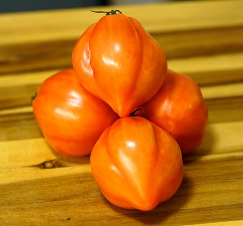Rosa Ochsenherz-Tomate - Tomate Pink Ox-Heart - süß - bis zu 250g - 20 Samen von Samen Schenker