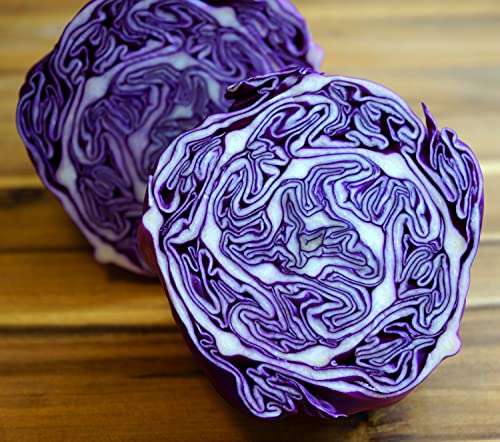 Rotkohl Tête noire - Kohl - 250 Samen von Samen Schenker