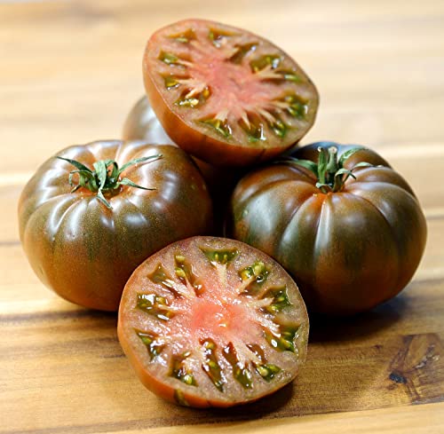 Tomate Black Russian - 10 Samen von Samen Schenker