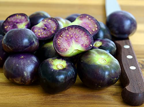 Tomatillo Purple - Physalis ixocarpa - 100 Samen von Samen Schenker