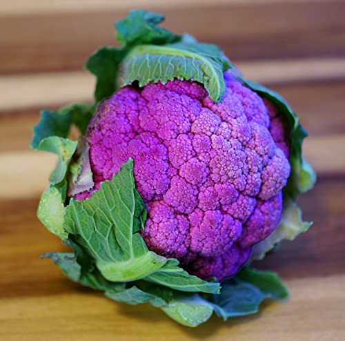 Violetter Blumenkohl - Violetta di Sicilia - Kohl - Broccoli - Brokkoli - 100 Samen von Samen Schenker