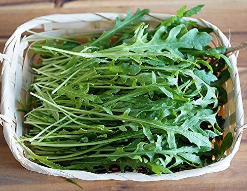 Wilde Rauke - Rucola selvatica - Salate - 4000 Samen von Samen Schenker
