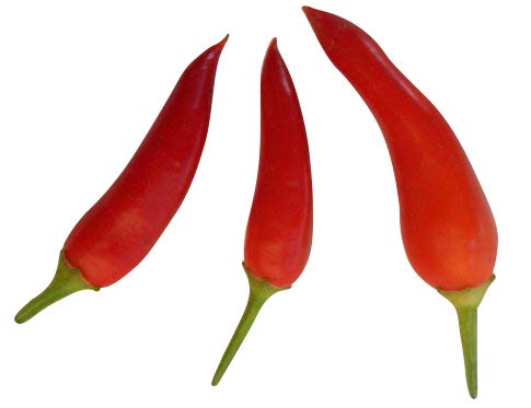 Naschzipfel Rot (Mild) 10 Samen von Samenchilishop (Immer nur einmal Versamd)