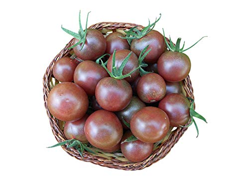 Tomate"Black-Cherry" 10 Samen -Selten- von Samenchilishop