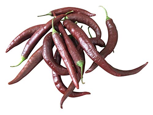 Cayenne Chocolate 10 Samen -Rarität- **Hoher Ertrag** Cayenne Chocolate 10 Samen -Rarität- **Hoher Ertrag** von Samenchilishop