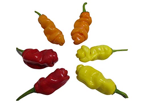 Peter Pepper Mix (Rot & Gelb & Orange) By Samenchilishop von Samenchilishop