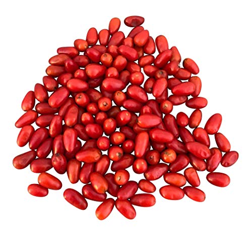 Tepin Chili 10 Samen"Eine der ältersten Chilis der Welt" >>>SUPER-ERTRAG<<< von Samenchilishop