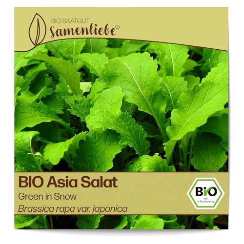 Samenliebe BIO Asia Salat Samen Green in Snow senfartiger Blattsenf Wintersalat grün 1g samenfestes Gemüse Saatgut für Gewächshaus Freiland und Balkon BIO Gemüsesamen winterhart von Samenliebe