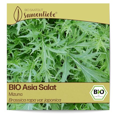 Samenliebe BIO Asia Salat Samen alte Sorte Mizuna kohlig feinwürziger Blattsenf Wintersalat grün 0,9g samenfestes Gemüse Saatgut für Gewächshaus Freiland und Balkon BIO Gemüsesamen winterhart von Samenliebe