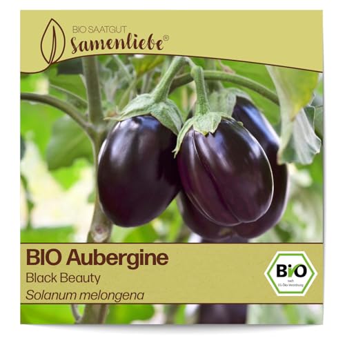 Samenliebe BIO Auberginen Samen alte Sorte Black Beauty Eierfrucht Melanzani violett schwarz 10 Samen samenfestes Gemüse Saatgut für Gewächshaus Freiland und Balkon BIO Gemüsesamen von Samenliebe