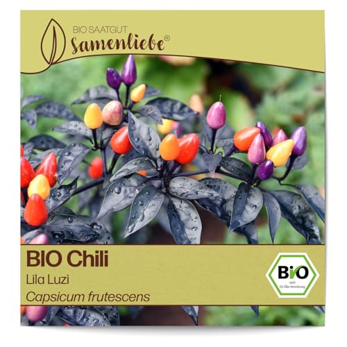 Samenliebe BIO Chili Samen Lila Luzi 10 Samen samenfestes Gemüse Saatgut für Gewächshaus Freiland und Balkon BIO Gemüsesamen von Samenliebe