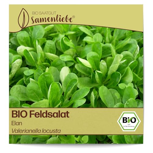 Samenliebe BIO Feldsalat Samen alte Sorte Elan nussiger Winterfeldsalat kompakter Salat grün 1,5g samenfestes Gemüse Saatgut für Gewächshaus Freiland und Balkon BIO Gemüsesamen winterhart von Samenliebe