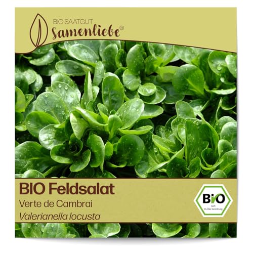 Samenliebe BIO Feldsalat Samen alte Sorte Verte de Cambrai nussiger Rapunzel großer Winterfeldsalat grün 1g samenfestes Gemüse Saatgut für Gewächshaus Freiland und Balkon BIO Gemüsesamen winterhart von Samenliebe